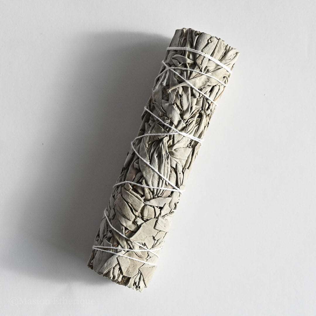 White Sage Smudge Stick tied with pure cotton thread
