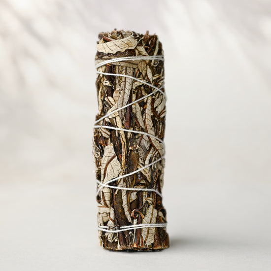 Yerba santa smudge stick (Eriodictyon californicum) standing upright, bound with white string, on a pale surface.