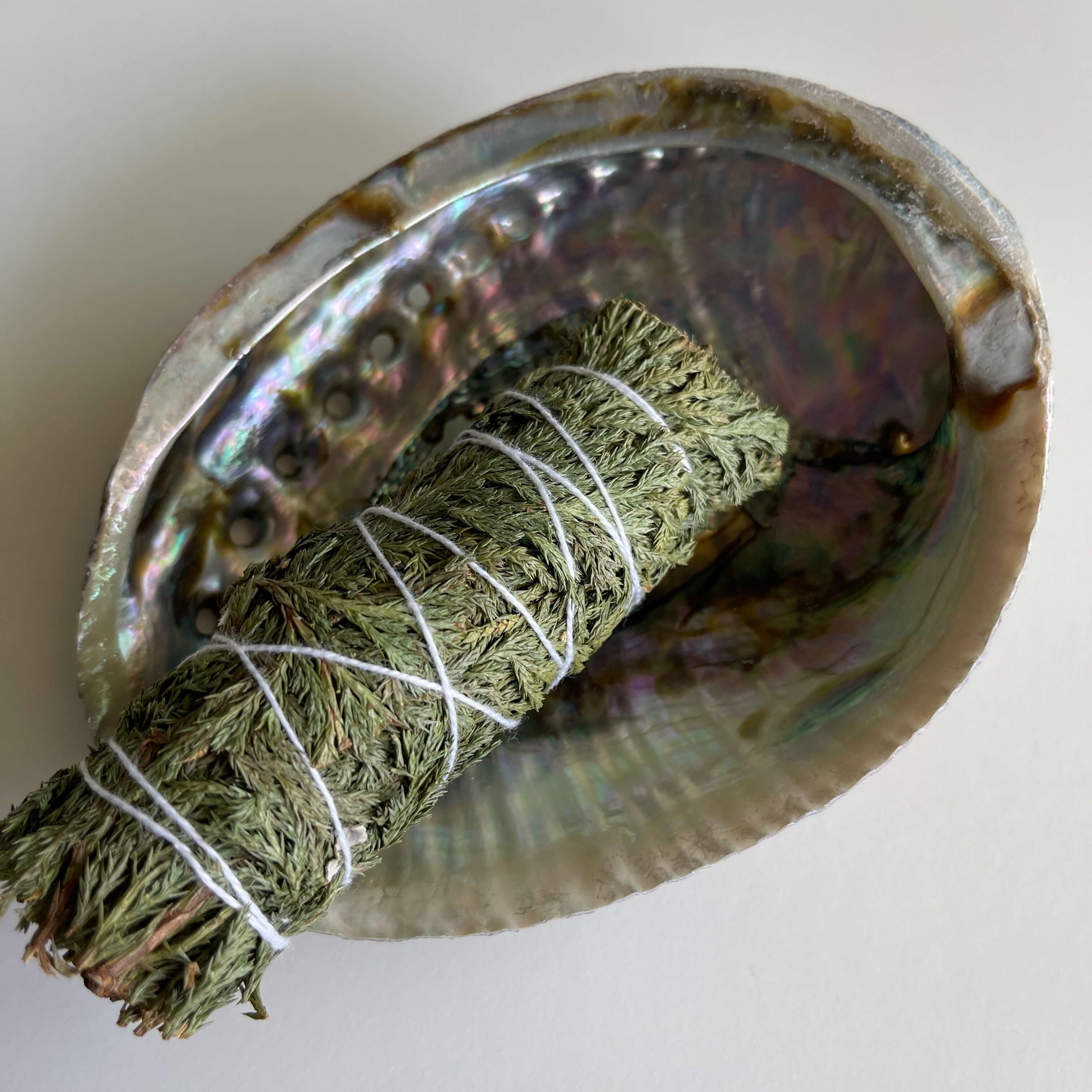  Cedar Smudge Stick in an Abalone Shell