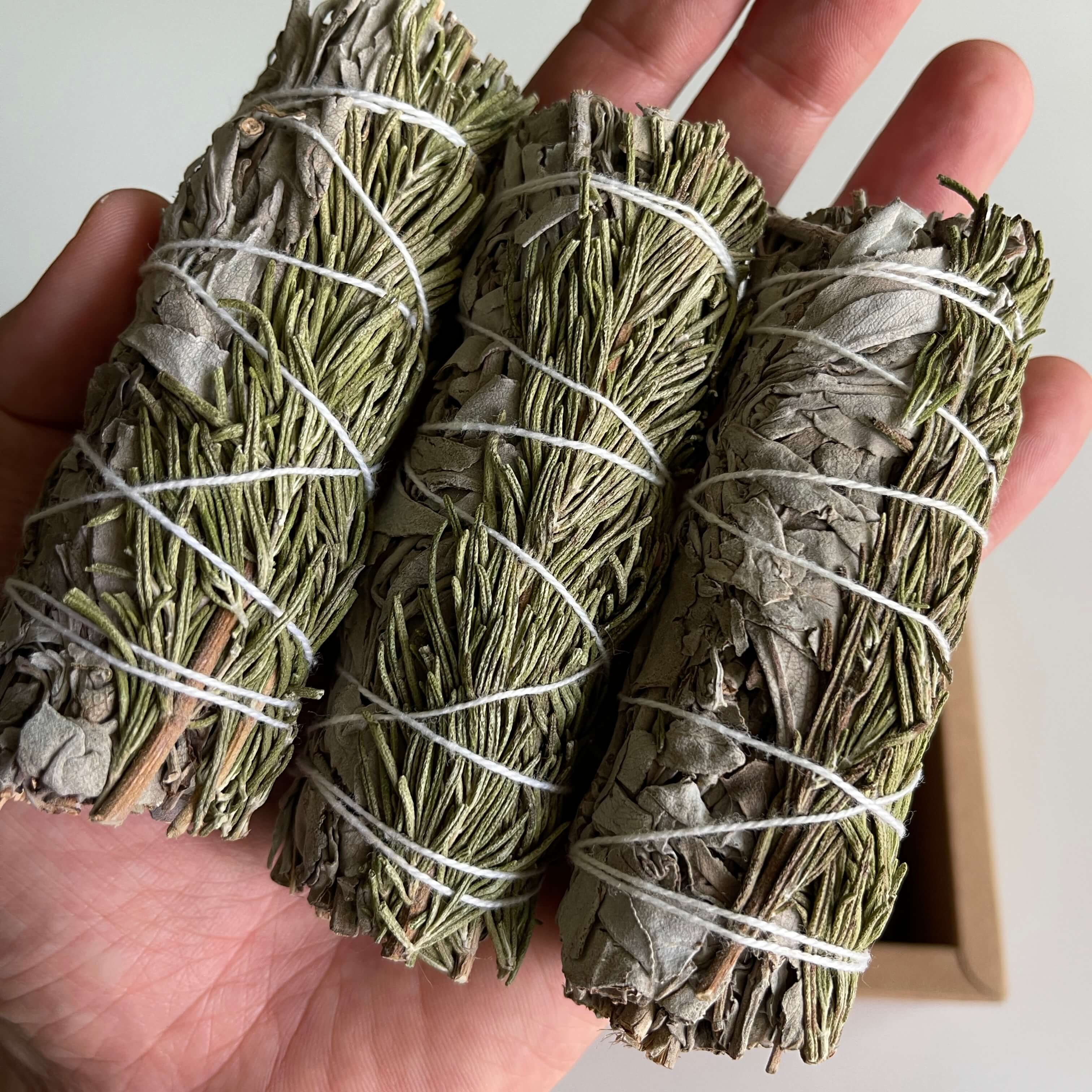 3 Smudge sticks of White Sage with Rosemary 4 Inch in Hands 